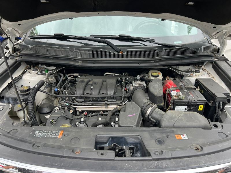 WhatsApp Image 2026-04-11 at 5.53.16 PM (1)