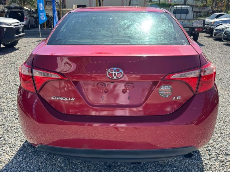 WhatsApp Image 2026-04-13 at 12.18.53 PM (4)