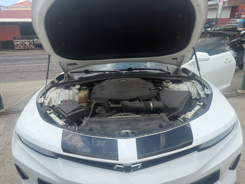 WhatsApp Image 2026-04-15 at 8.47.37 AM (3)