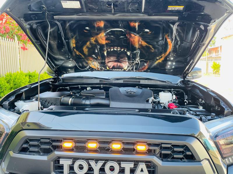 WhatsApp Image 2026-04-19 at 10.39.31 PM (3)