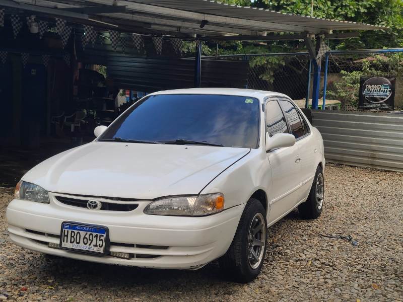 WhatsApp Image 2026-04-19 at 4.28.17 PM (1)