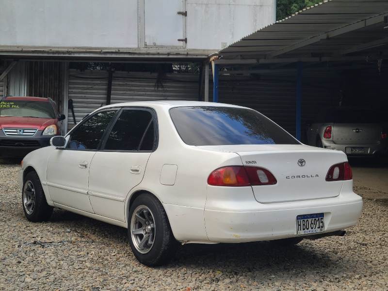 WhatsApp Image 2026-04-19 at 4.28.17 PM (2)