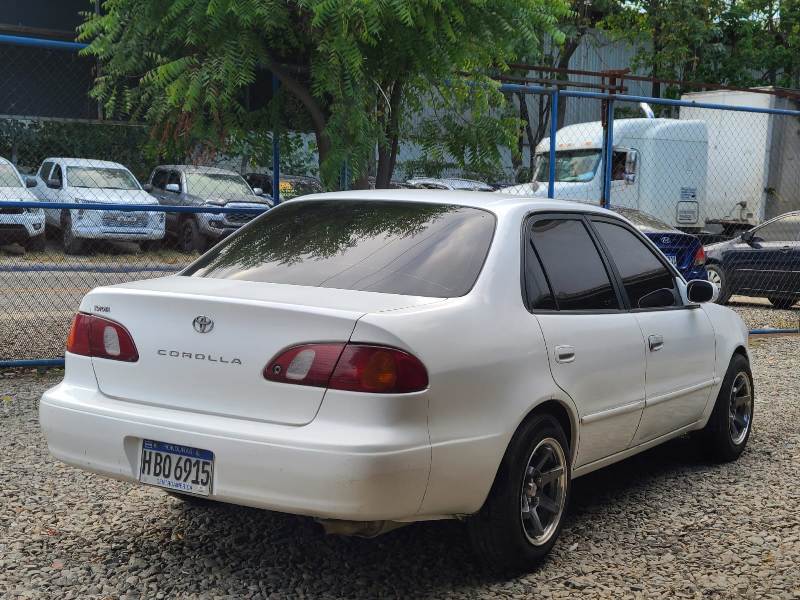 WhatsApp Image 2026-04-19 at 4.28.18 PM