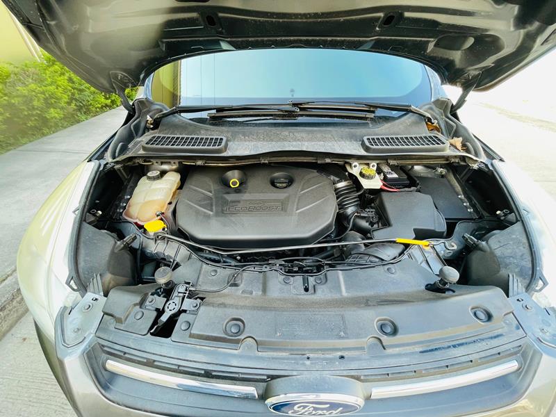 WhatsApp Image 2026-04-22 at 4.19.03 PM (2)