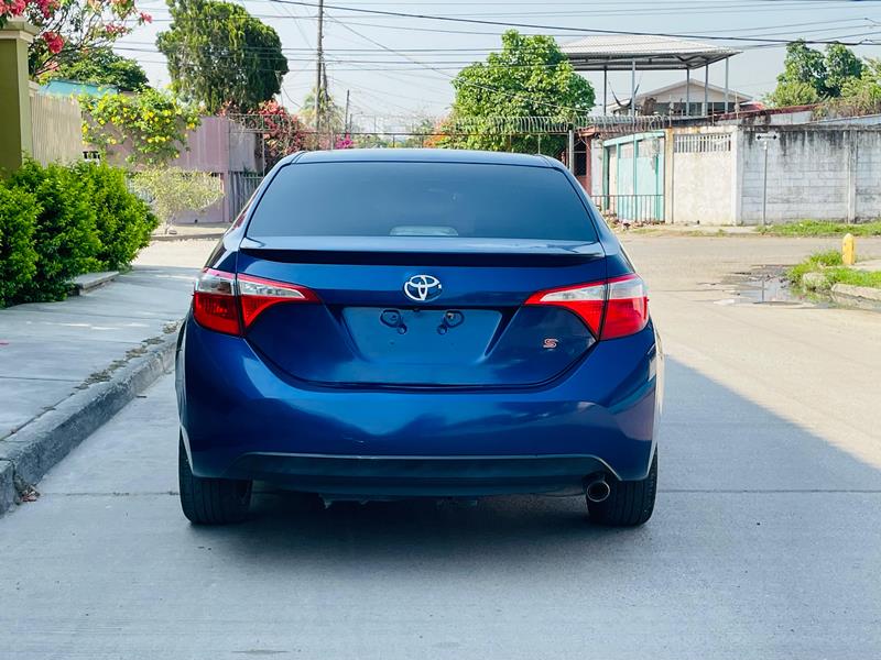 WhatsApp Image 2026-04-25 at 1.55.04 PM (3)