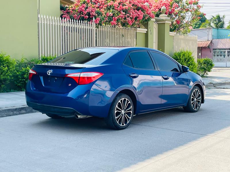 WhatsApp Image 2026-04-25 at 1.55.05 PM (1)