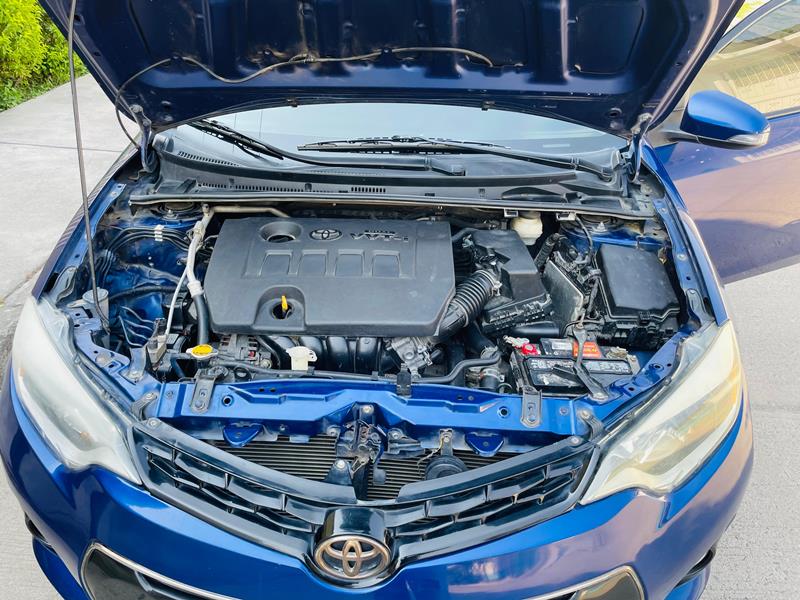 WhatsApp Image 2026-04-25 at 1.55.05 PM (3)