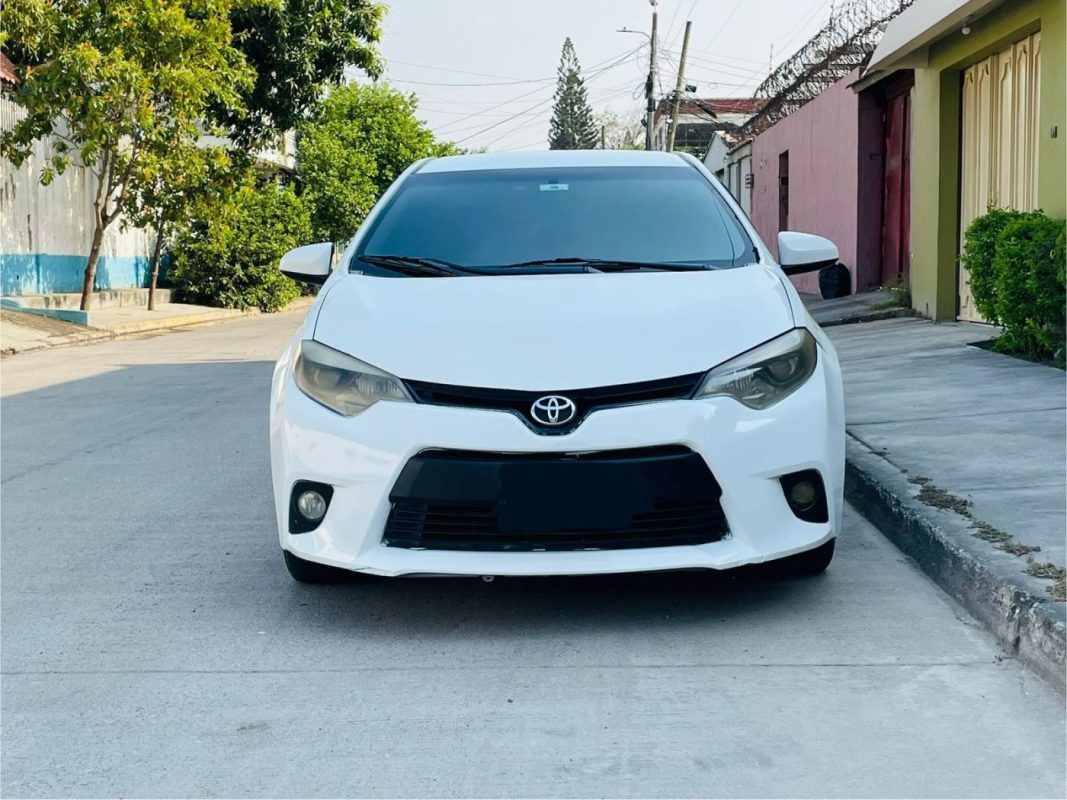 WhatsApp Image 2026-04-28 at 10.46.40 AM (2)