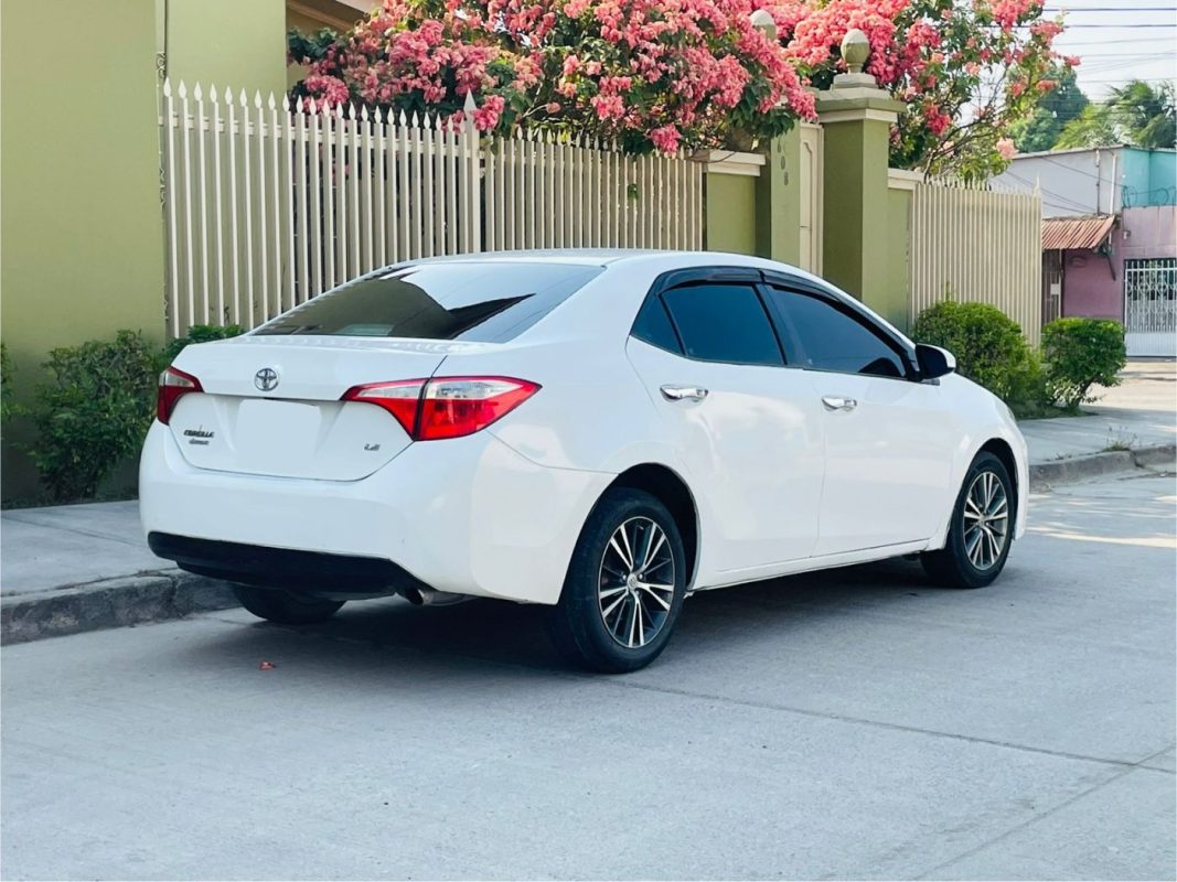 WhatsApp Image 2026-04-28 at 10.46.40 AM (3)