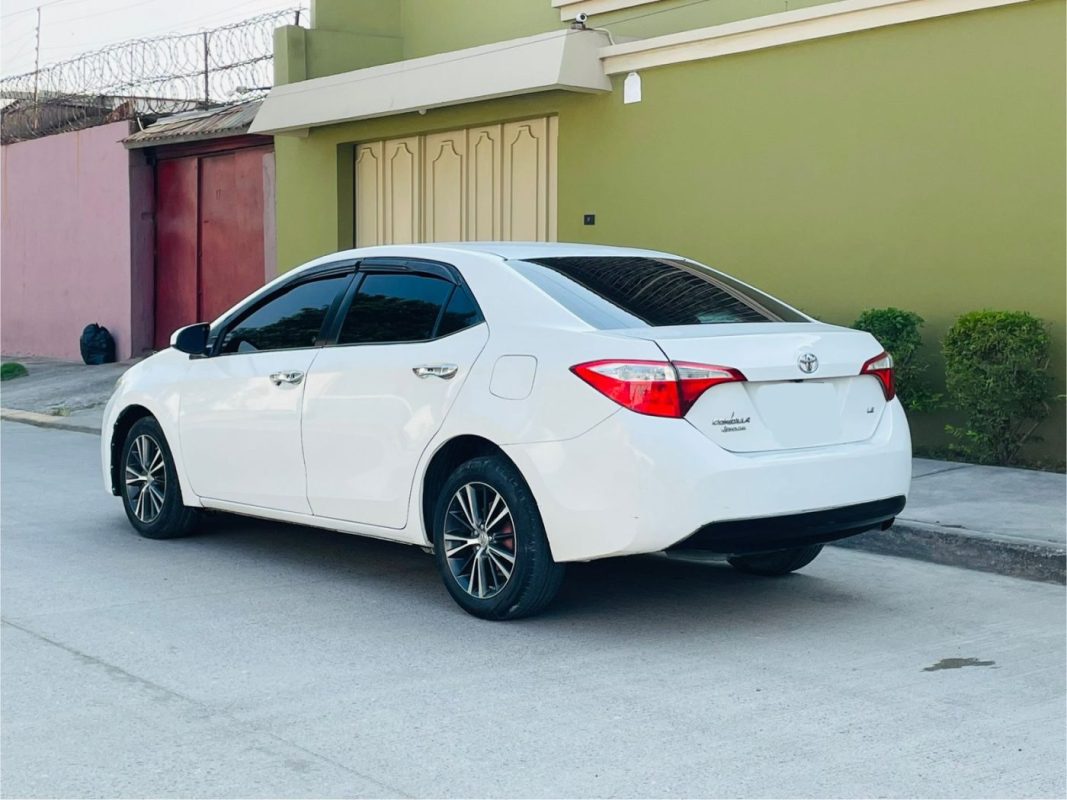 WhatsApp Image 2026-04-28 at 10.46.42 AM (3)