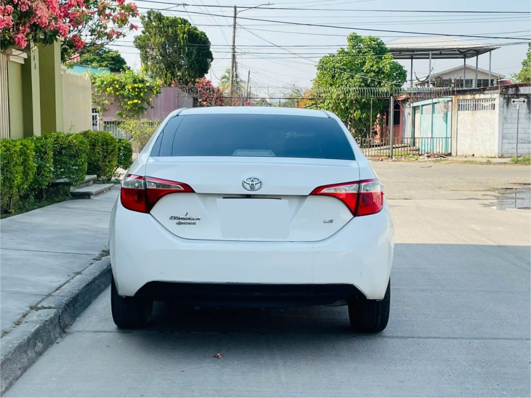 WhatsApp Image 2026-04-28 at 10.46.47 AM (1)