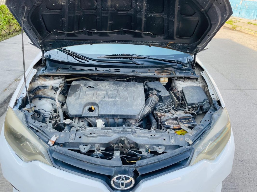 WhatsApp Image 2026-04-28 at 10.46.48 AM