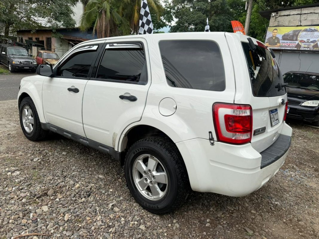 a01c102c-9929-47b2-9ef5-03fea5953484