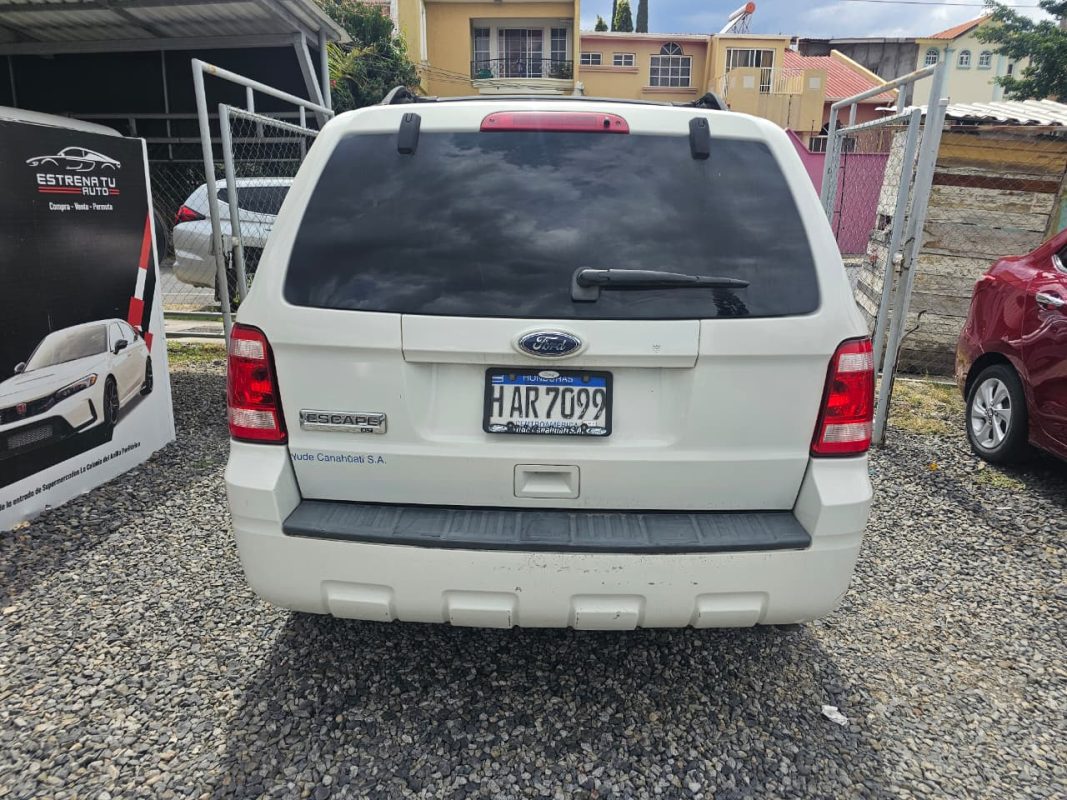 e703f38f-1f9c-4fa8-89e2-002b8804a035