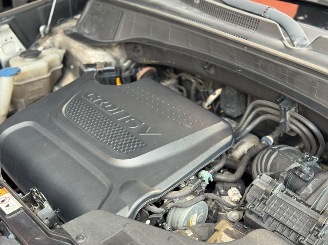 WhatsApp Image 2026-09-28 at 10.26.22 AM