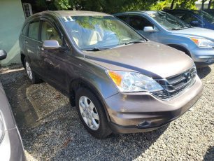 FJIMG_20260124_135245