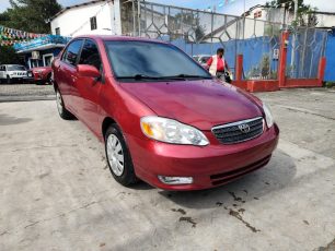 FJIMG_20260130_100328