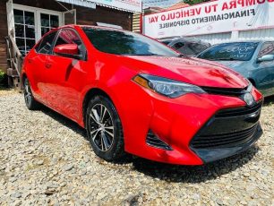 WhatsApp-Image-2024-08-29-at-10.19.17-AM