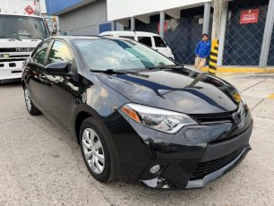 WhatsApp Image 2025-10-10 at 9.38.32 AM (1)