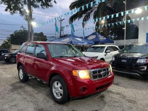 WhatsApp Image 2025-11-05 at 9.10.33 PM