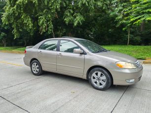 WhatsApp Image 2025-11-15 at 2.20.34 PM (1)