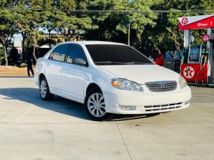 WhatsApp Image 2026-01-10 at 1.05.30 PM (1)