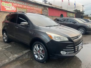 WhatsApp Image 2026-01-12 at 5.31.47 PM