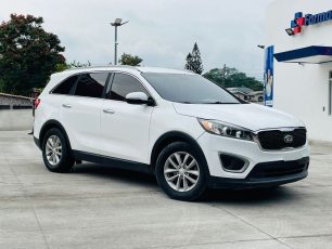 WhatsApp Image 2026-01-17 at 9.58.54 PM (1)