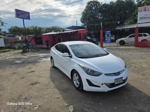 WhatsApp Image 2026-01-29 at 4.36.52 PM (1)