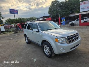 WhatsApp Image 2026-01-29 at 5.15.50 PM (1)