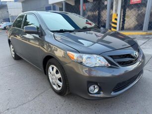 WhatsApp Image 2026-01-31 at 3.44.34 PM