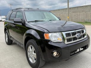 WhatsApp Image 2026-02-03 at 2.03.18 PM (3)