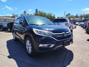 WhatsApp Image 2026-02-05 at 11.22.41 AM (2)