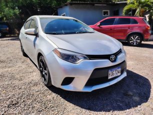 WhatsApp Image 2026-02-05 at 12.16.16 PM (4)