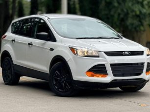 WhatsApp Image 2026-02-06 at 10.57.04 AM