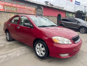 WhatsApp Image 2026-02-10 at 4.32.05 PM