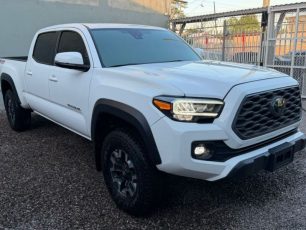 WhatsApp Image 2026-02-11 at 5.16.48 PM