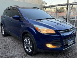 WhatsApp Image 2026-02-11 at 5.30.02 PM (3)