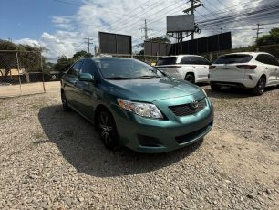 WhatsApp Image 2026-02-13 at 3.18.24 PM (1)