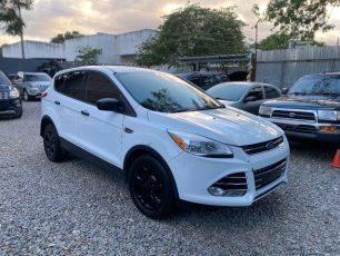 WhatsApp Image 2026-03-09 at 5.50.50 PM (2)