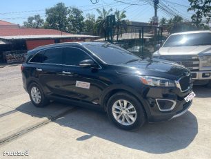 WhatsApp Image 2026-03-18 at 8.00.01 AM (1)