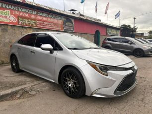 WhatsApp Image 2026-03-27 at 5.44.56 PM (2)