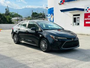 WhatsApp Image 2026-04-13 at 11.31.22 AM (3)