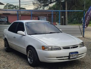 WhatsApp Image 2026-04-19 at 4.28.17 PM